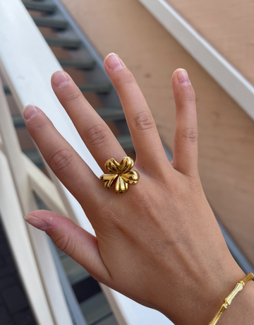 Ally ring