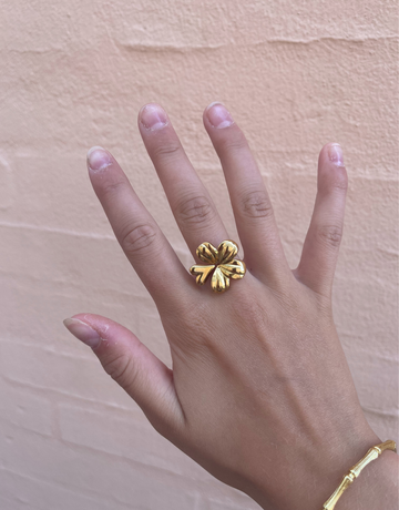 Ally ring