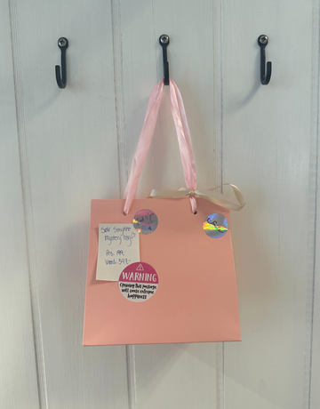 Mystery bag med sølv smykker til kun 199,- men du får altså værdi for 597,-